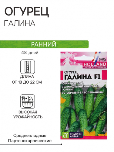 Семена огурца 