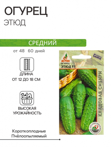 Семена Огурец