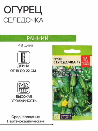 Семена Огурец 