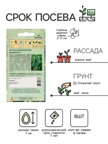 Семена Огурец
