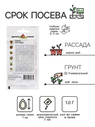 Семена Огурец 