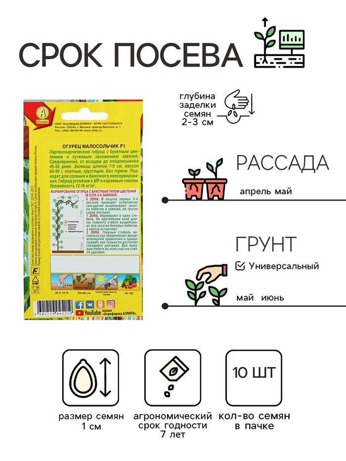 Семена Огурец