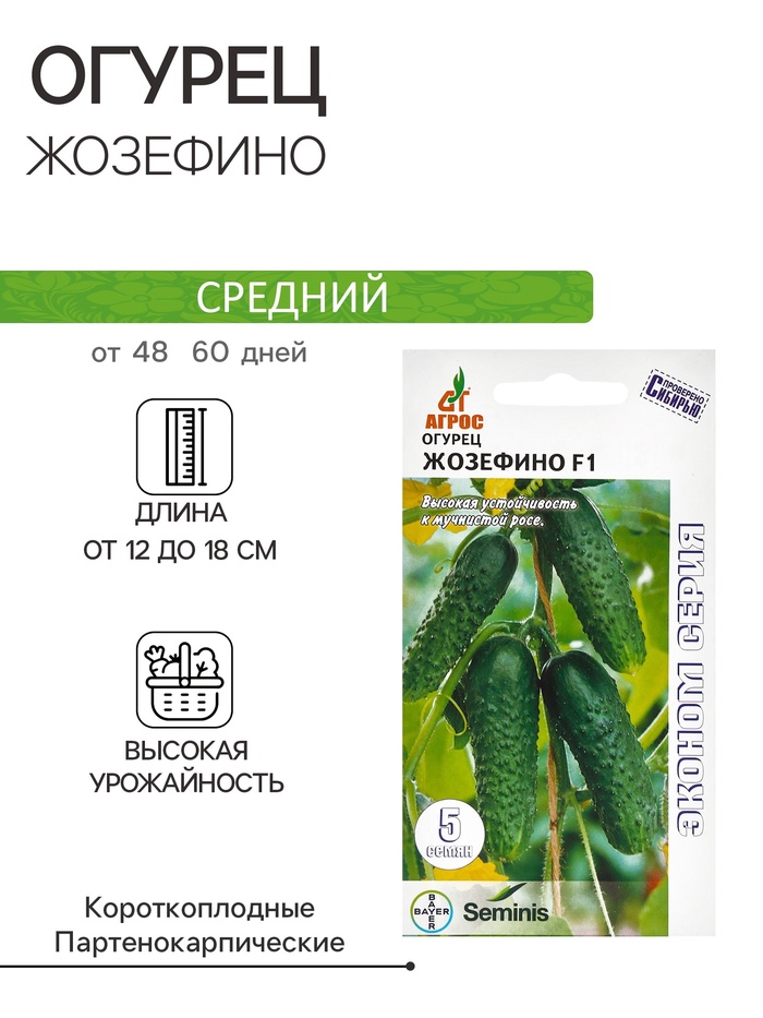 Семена Огурец