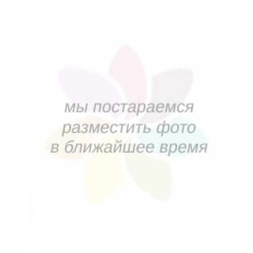 Ст.цена 5889р. Плащ женский бежевый 31793