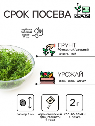 Семена Укроп 