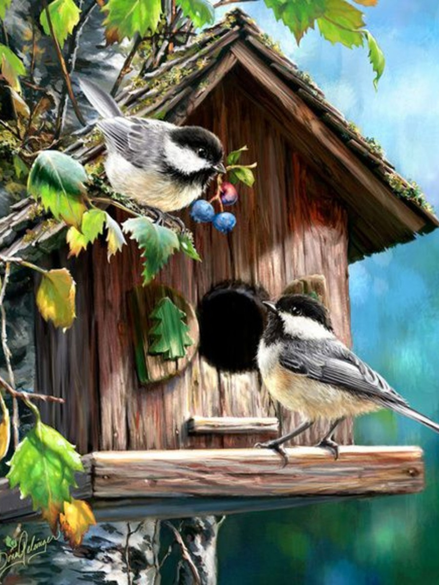 Вышивка крестиком 40х50см, Птицы