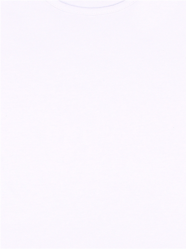 Футболка, бриджи 532181