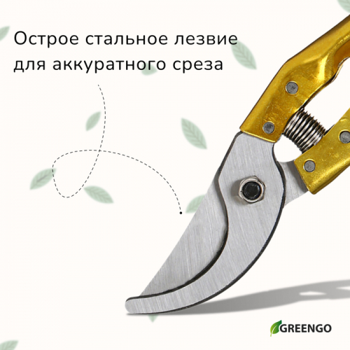 Секатор плоскостной, 8