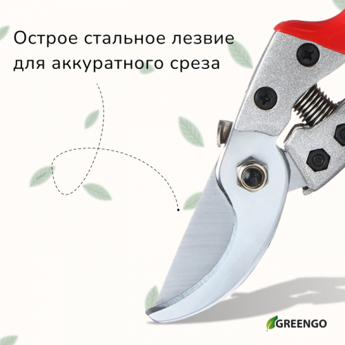 Секатор плоскостной, 9