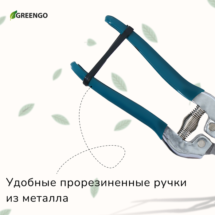 Ножницы садовые, 7