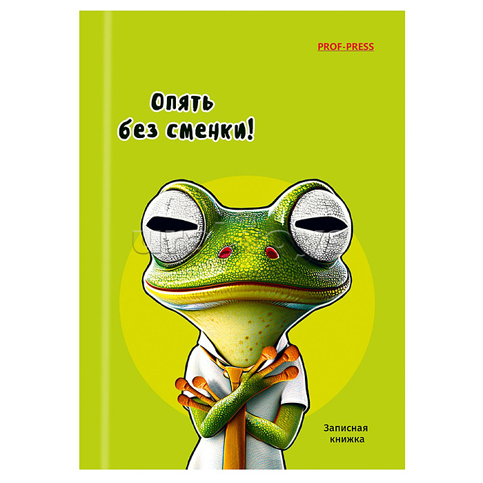Записная книжка А6 48л.