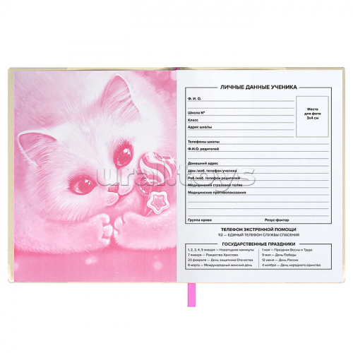 Дневник 1-11 класс 