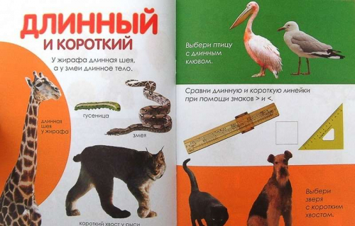 Сравнения:свойства.Примеры.Здания; сер.Готовимся к школе играя