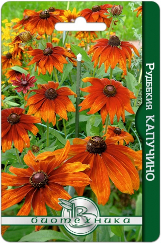 Рудбекия Капучино