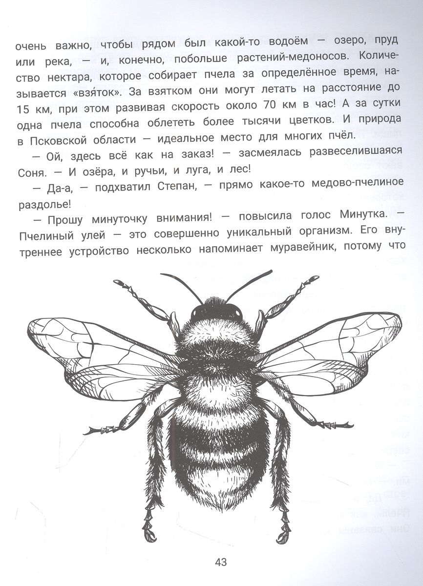 Степа, Соня и насекомые. Логопедическая энциклопедия