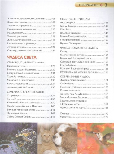 Лучшая иллюстрированная энциклопедия для девочек