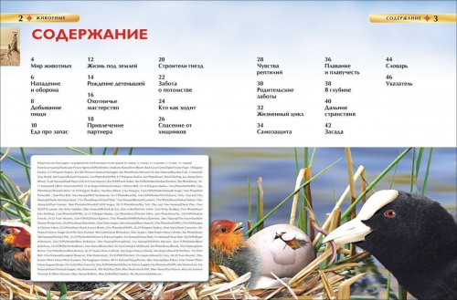 Животные. Детская энциклопедия