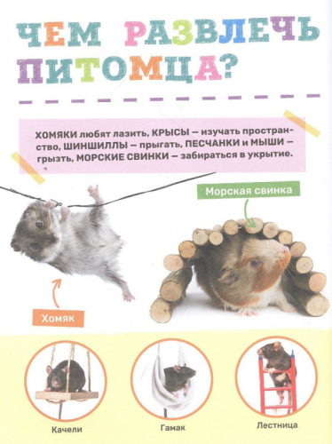 Домашние питомцы. Первая энциклопедия малыша