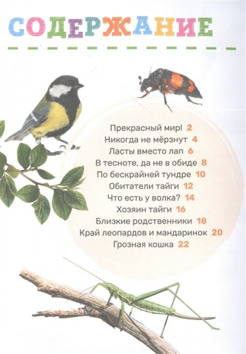 Животные. Первая энциклопедия малыша