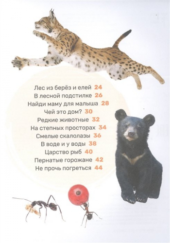 Животные. Первая энциклопедия малыша