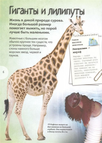 Животные. Энциклопедия удивительных фактов