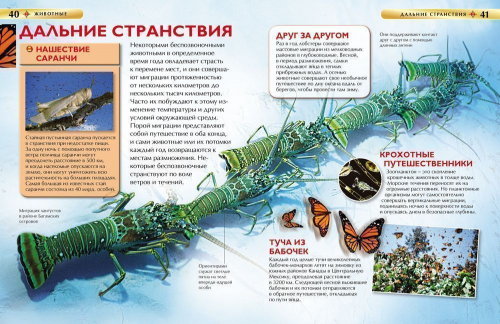 Животные. Детская энциклопедия