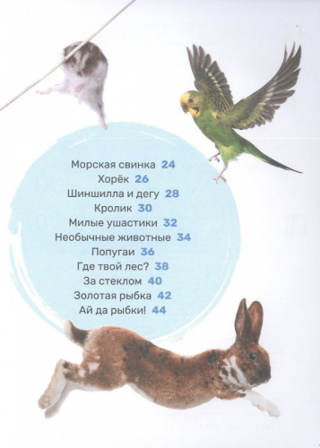 Домашние питомцы. Первая энциклопедия малыша