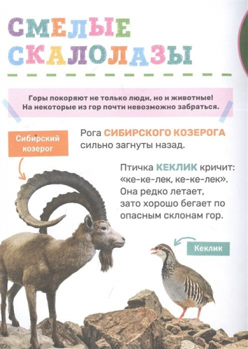 Животные. Первая энциклопедия малыша