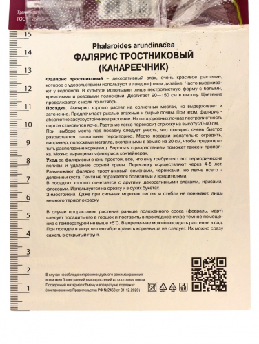 Фалярис тростниковый Триколор, р-р I, 1 шт, Осень 2025