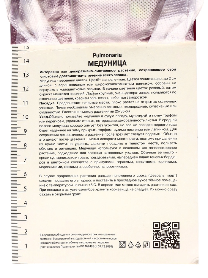 Медуница гибридная Мажести, р-р I, 1 шт, Осень 2025