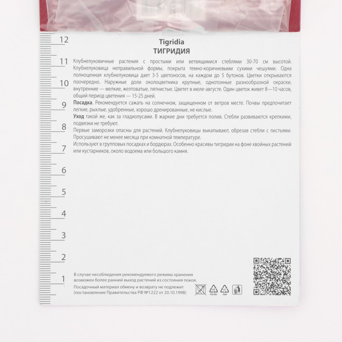 Луковица Тигридия павлинья Йеллоу, 10 шт., р-р 5/7
