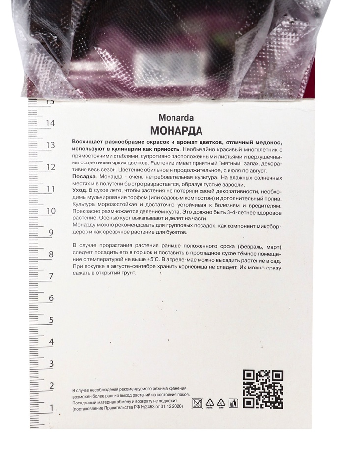 Луковица Монарда гибридная Бьюти ов Кобэм, р-р I, 1 шт.