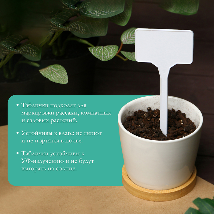 Таблички садовые, для маркировки растений, 15 см, набор 10 шт., пластик, белые, Greengo