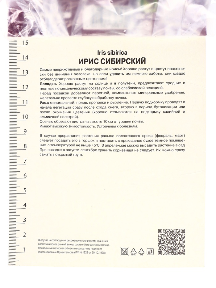 Корневище Ирис сибирский Анбаттонд Зипперз, р-р I, 1 шт.