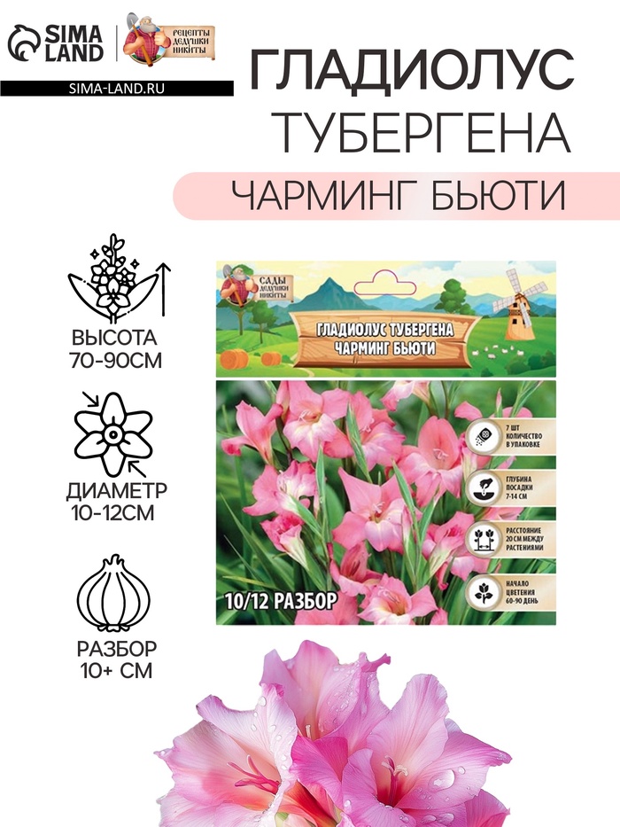 Гладиолус Тубергена «Чарминг Бьюти», луковица в пакете с перфорацией, р-р 10+, 7 шт.