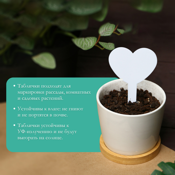 Таблички садовые, для маркировки растений, 8.5 см, набор 20 шт., пластик, МИКС, Greengo
