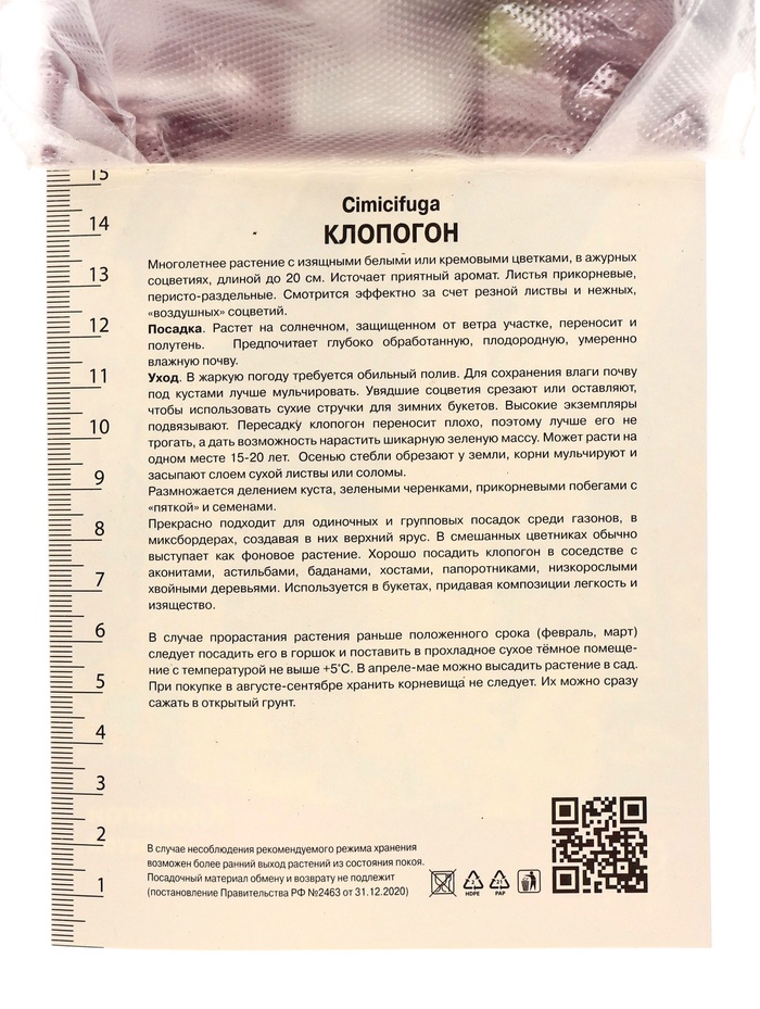 Клопогон простой, р-р I, 1 шт.