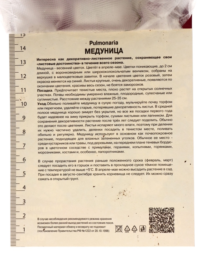 Медуница гибридная Опал, корневище в пакете с торфогрунтом, р-р I, 1 шт.