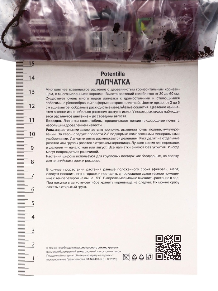 Лапчатка темно-кроваво-красная Гибсон Скарлет, р-р I, 1 шт, Осень 2025