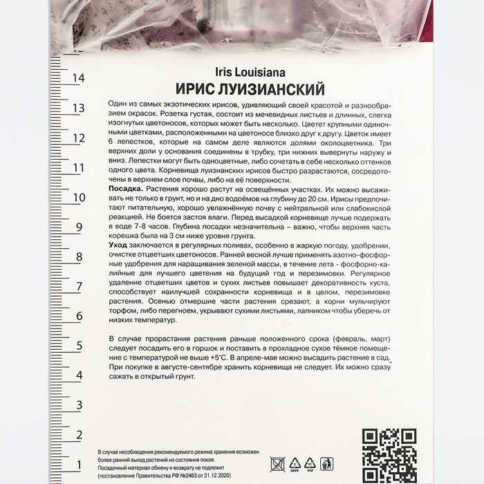 Корневище Ирис луизианский Хё Хайнесс, р-р I, 1 шт.