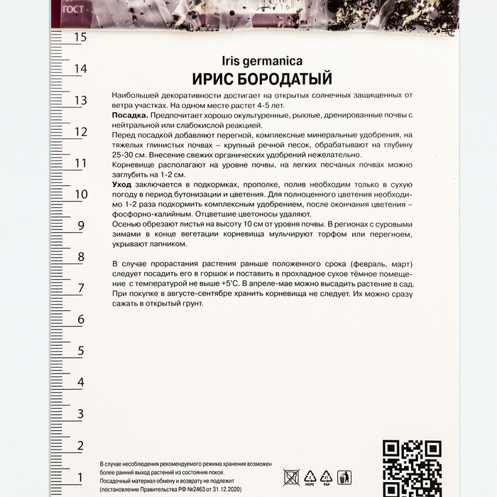 Ирис бородатый Найт Аул, р-р I, 1 шт, Осень 2025