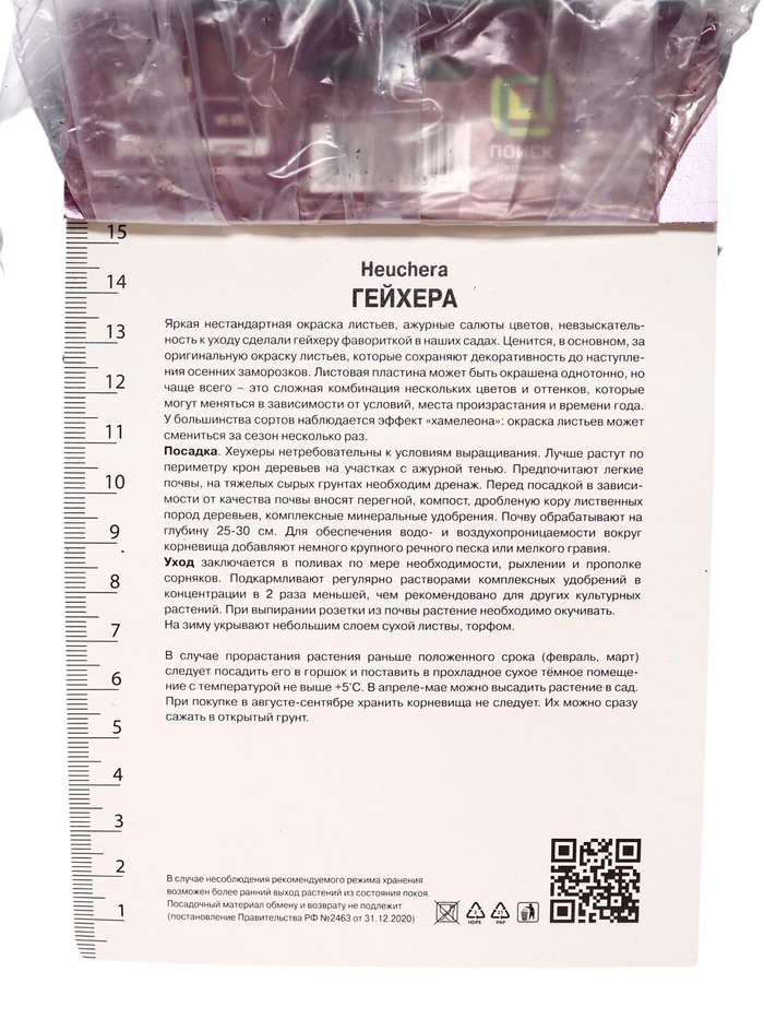 Гейхера (Хеухера) кроваво-красная Корал Форест, корневище в пакете с торфогрунтом, р-р I, 1 шт.