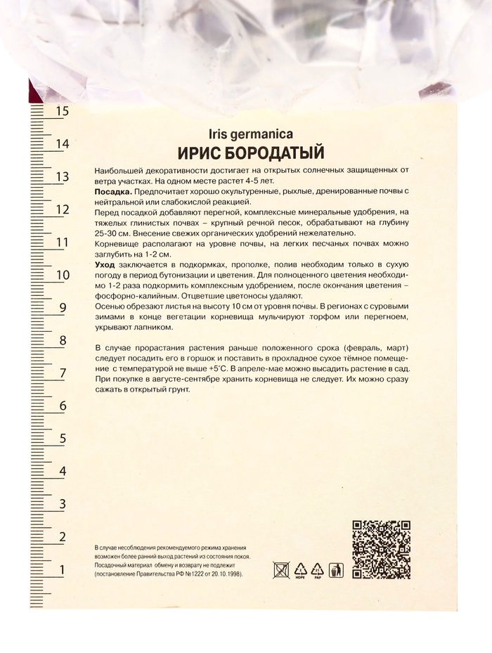 Корневище Ирис бородатый Салтанс Пэлас, р-р I, 1 шт.