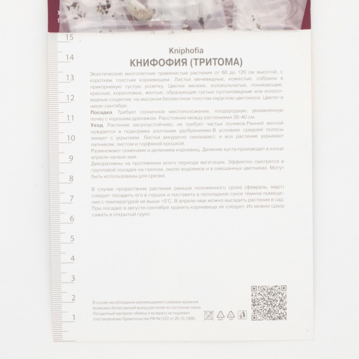 Книфофия гибридная Нэнси Ред, корневище в пакете с торфогрунтом, р-р I, 1 шт.