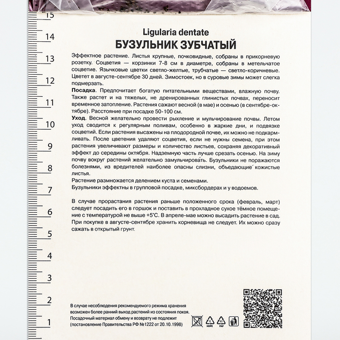 Бузульник зубчатый «Дездемона», корневище в торфогрунте, р-р I, 1 шт.