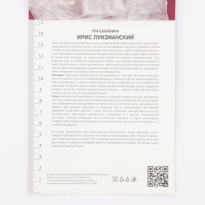 Ирис луизианский Блэк Геймкок, р-р I, 1 шт, Осень 2025