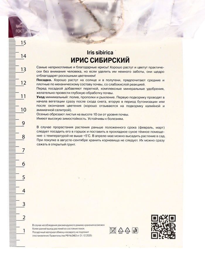 Корневище Ирис сибирский Диэ Дилайт, р-р I, 1 шт.