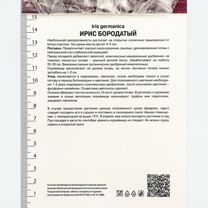 Ирис бородатый Суперстишн, р-р I, 1 шт, Осень 2025