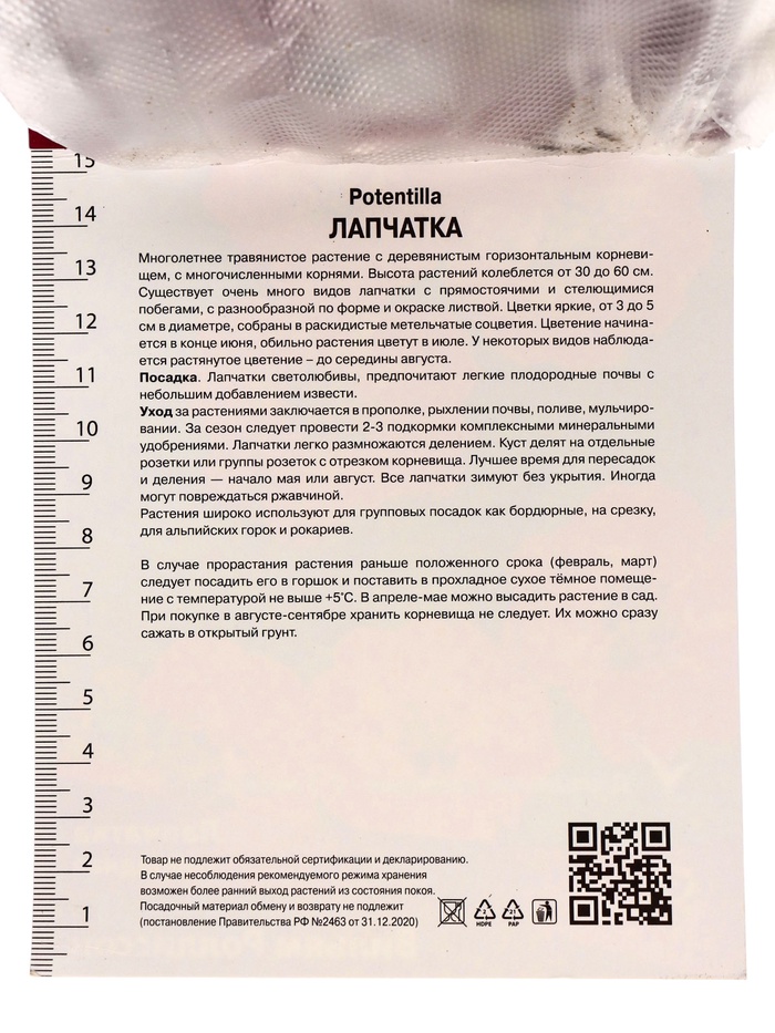 Лапчатка гибридная Вильям Роллиссон, р-р I, 1 шт, Осень 2025