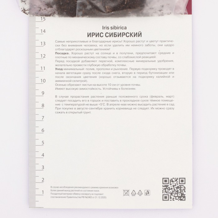 Ирис сибирский Лайт ов Харт, р-р I, 1 шт, Осень 2025